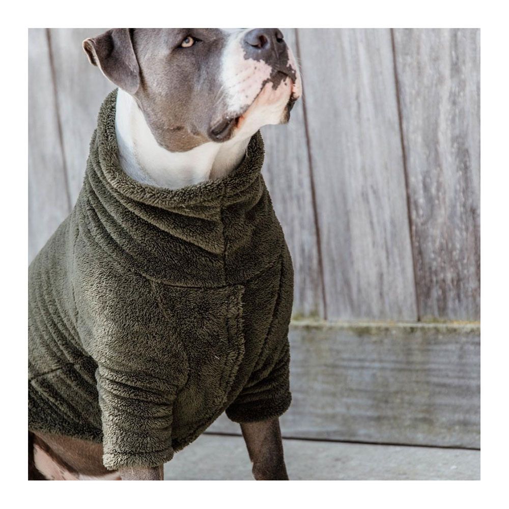 Kentucky TEDDY FLEECE - Pull pour chien vert sapin