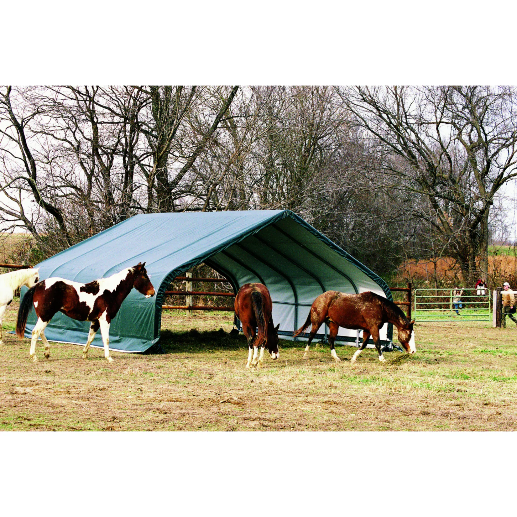 ShelterLogic Run-In-Weidezelt, 49,6m², 680x730 cm
