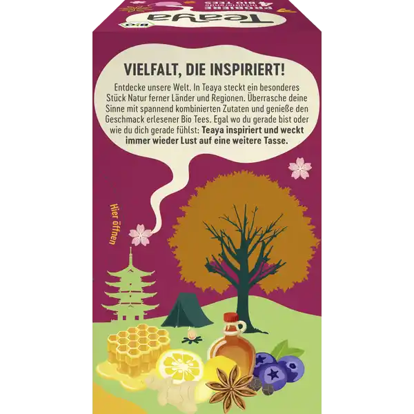 Bio Tee Set Selektion aus 4 Sorten