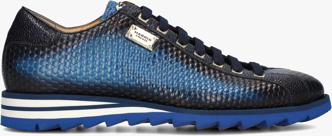 donkerblauwe harris lage sneakers 2892