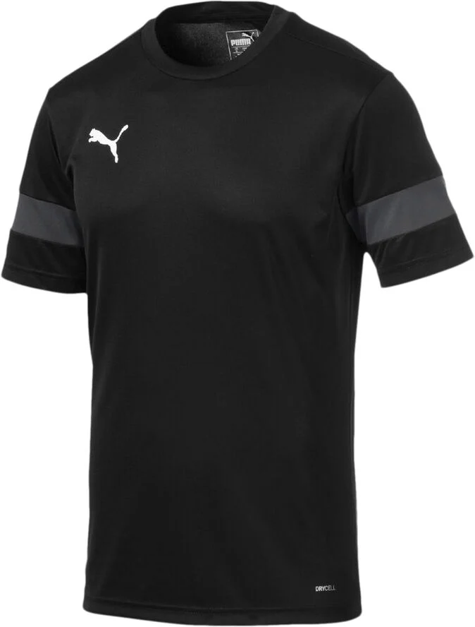 Puma ftblPLAY T-shirt Sort