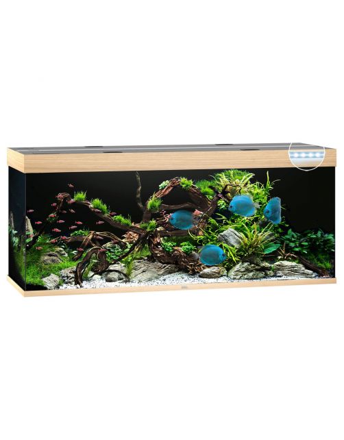 Juwel Aquarium Rio 450 Led - Aquaria