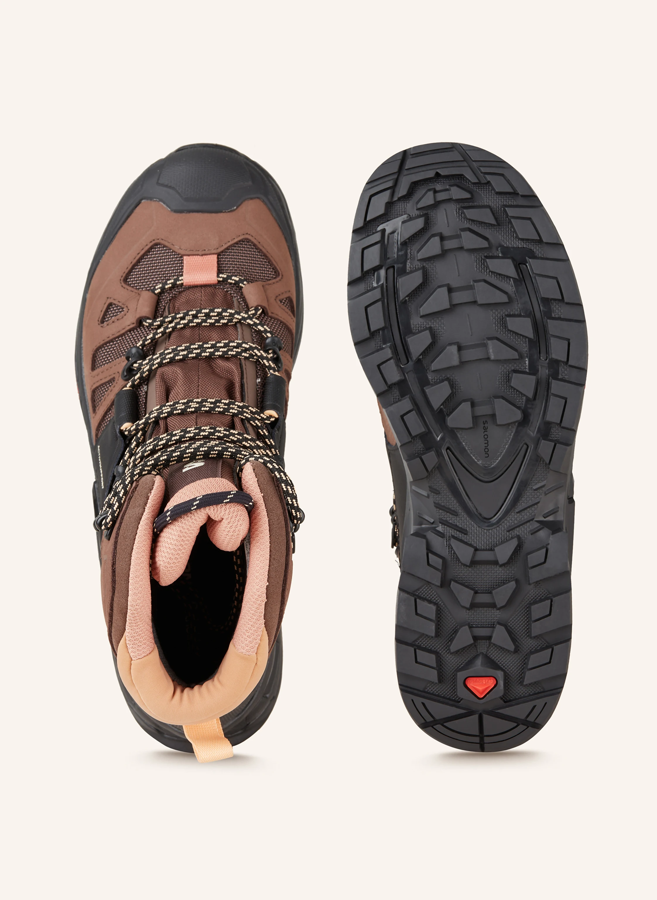 SALOMON Trekkingschuhe QUEST 4 GTX