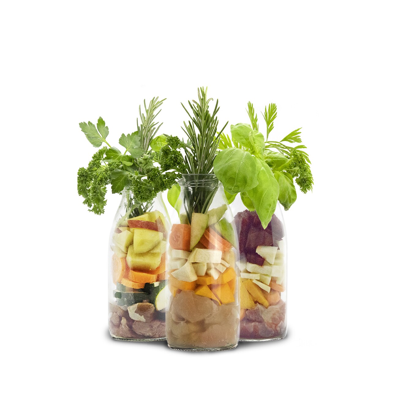 SmoothieDog Klassik 6x250 ml
