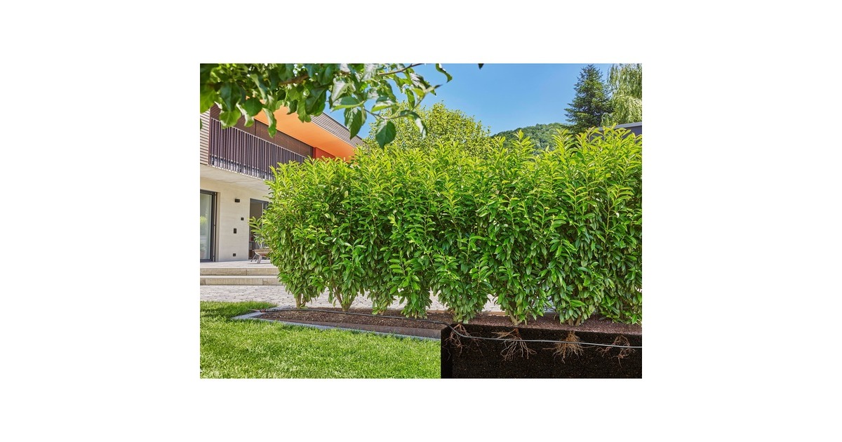 GARDENAMicro-Drip-Bewatering heggen/struiken Set (50 m) druppelaar  (Zwart)