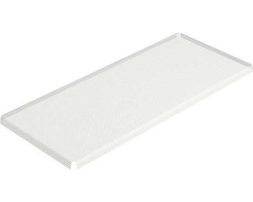 Lichtschachtafdekking home protect roestvrij staal 60x120 cm