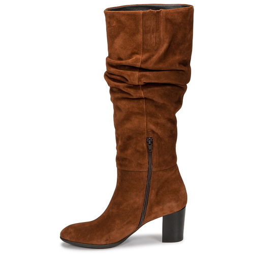 Fericelli - NEIGNET - Camel