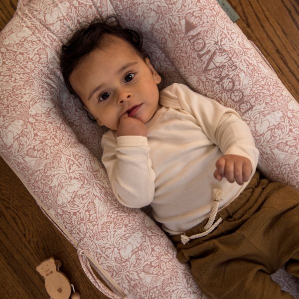 DockATot Deluxe  Babynestje Brer Rabbit
