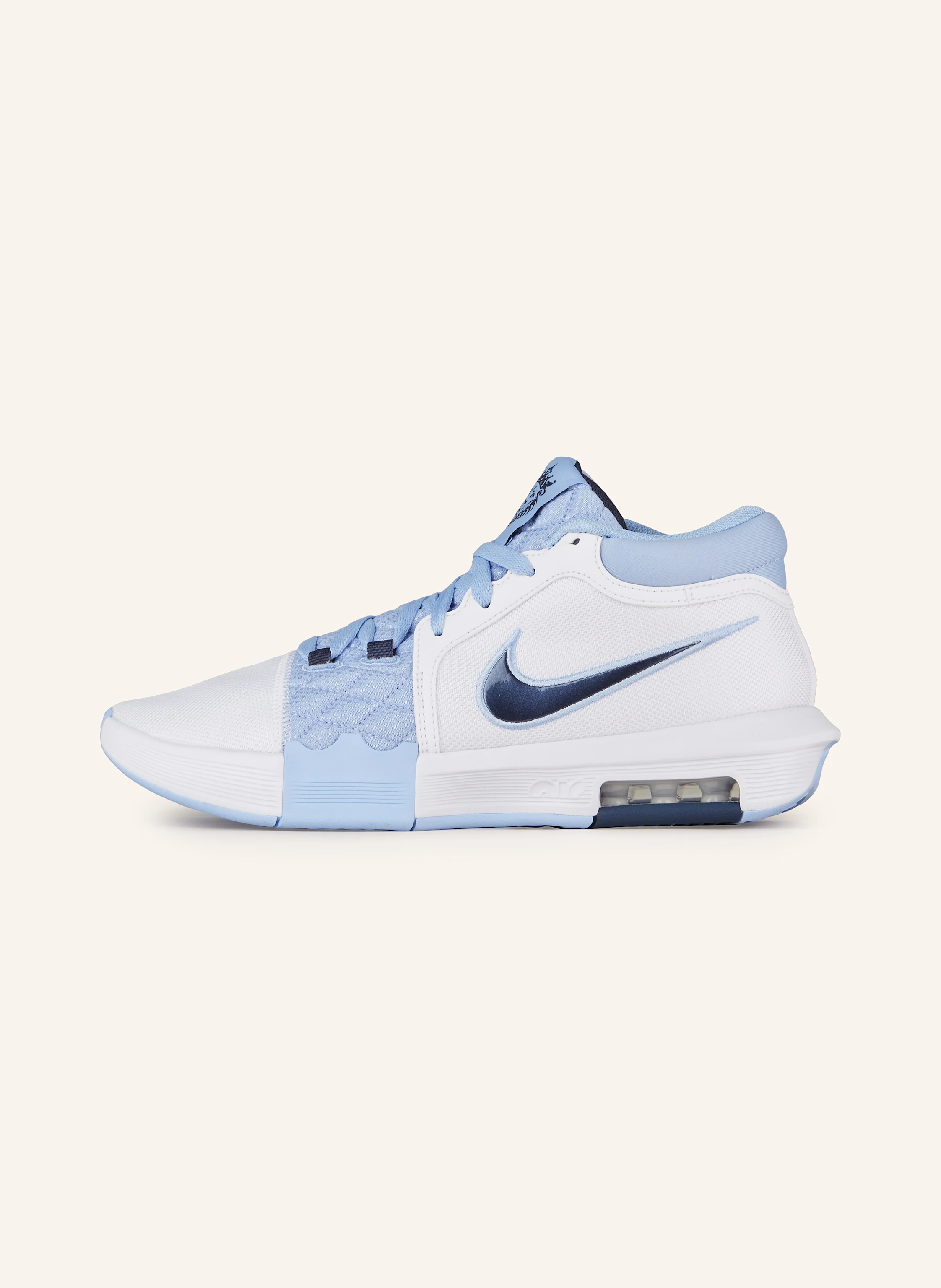 Nike Basketballschuhe LEBRON WITNESS VIII