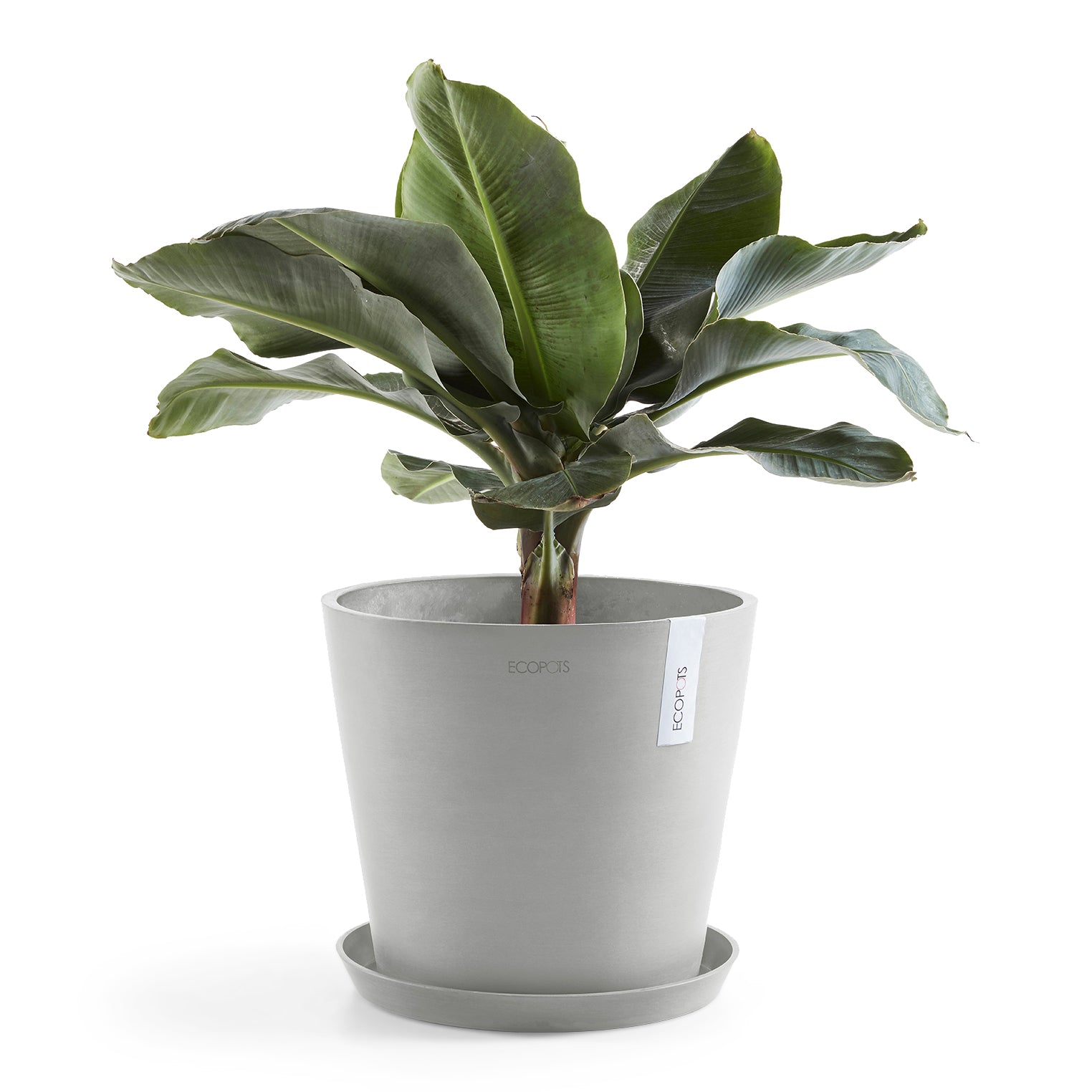 Ecopots Amsterdam 40
