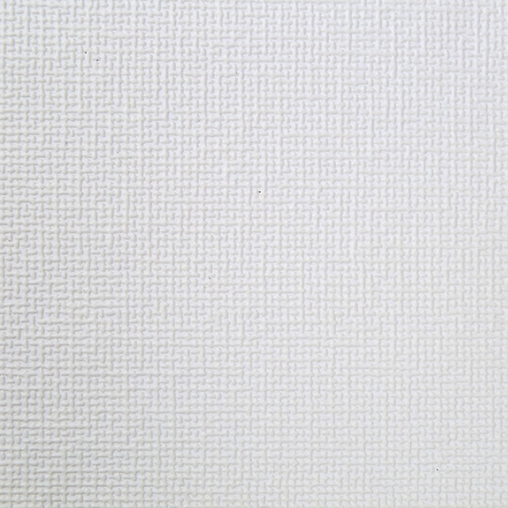 Papier peint expansé vinyle sur intissé Palmeri GoodHome blanc