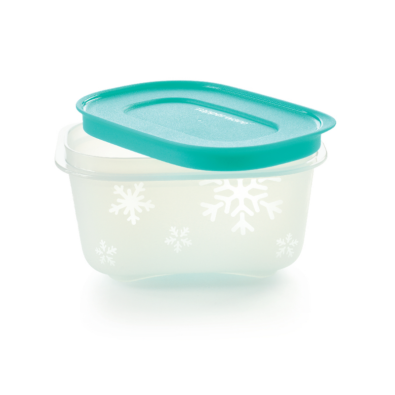 Eiskristall 170 ml (2) Zwei kleine Gefrierbehälter mit Deckel für Kräuter oder kleine Portionen