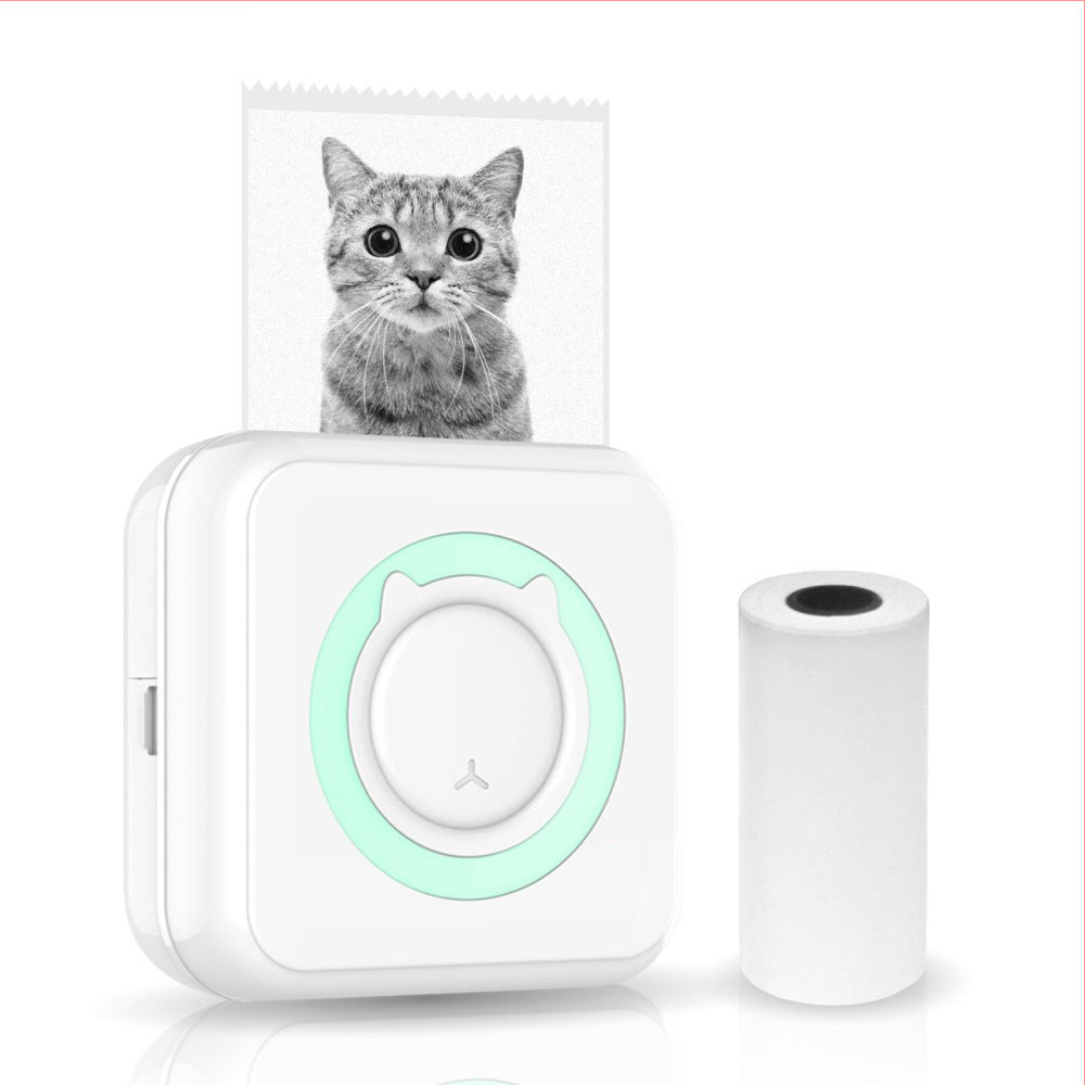 Tragbarer Sofortbild Smartphone Drucker für iOS/Android - Weiss/Türkis
