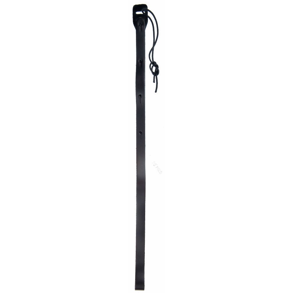 D'Addario 75M00 band voor mandoline zwart