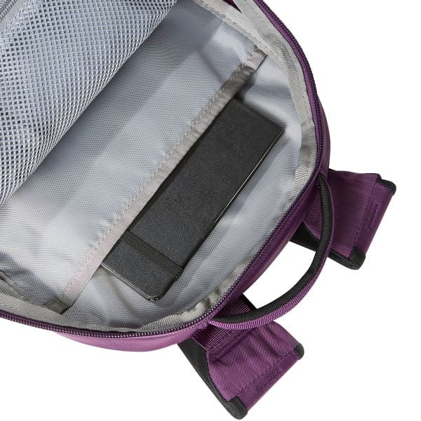 Sac à dos randonnée THE NORTH FACE BOREALIS MINI BACKPACK BLACKCURRANTPRPL/TNFBLACK