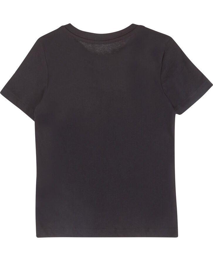 Calvin Klein T-shirt 2-pak Sort
