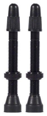 Paire de Valves Tubeless WTB TCS Brass Presta Valve Noir