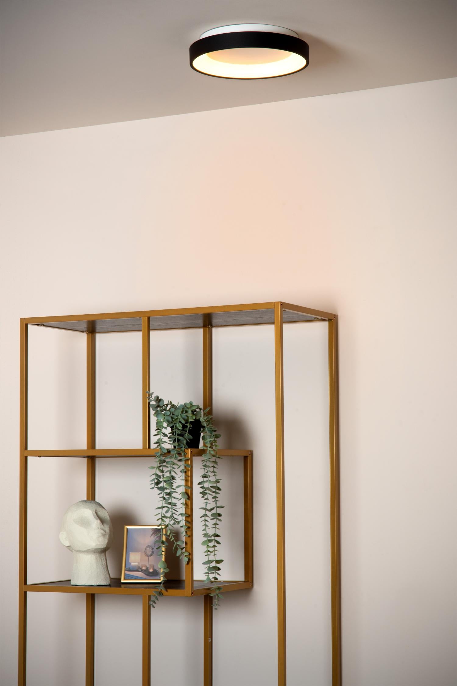 Vidal plafondlamp LED Ã28 zwart