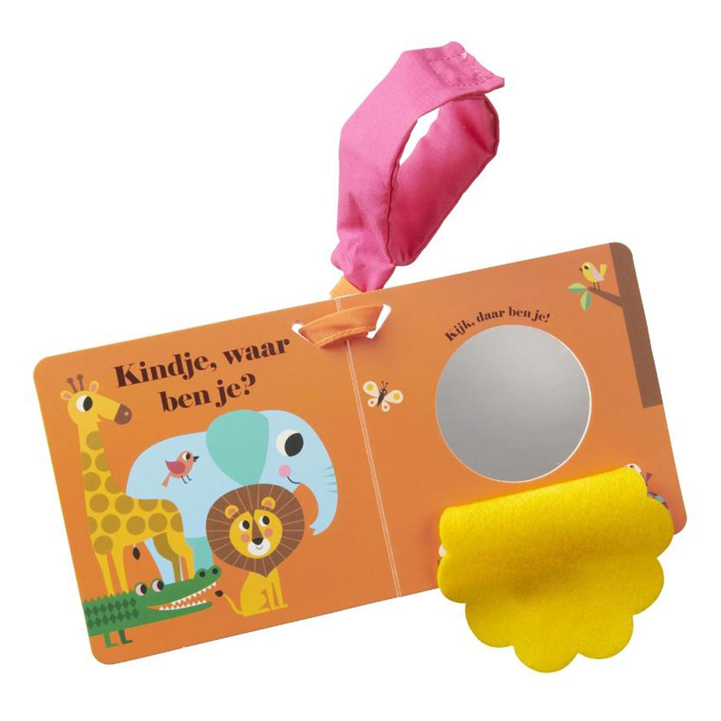 Leeuw, waar ben je? Buggyboekje