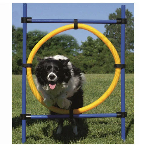 Arco de Salto Ribecan Agility para Cães