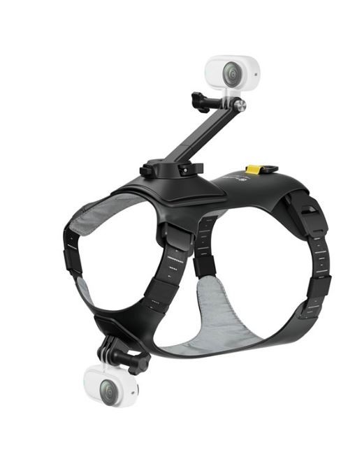 Insta360 - GO 3/GO 3S Pet Harness Mount Size S