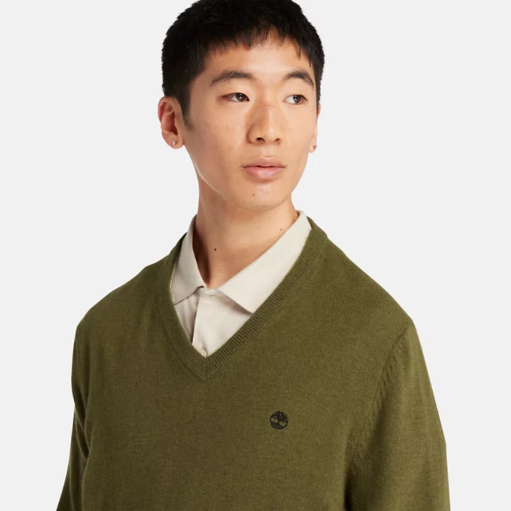 Suéter masculino Cohas Brook com decote em V na cor verde.