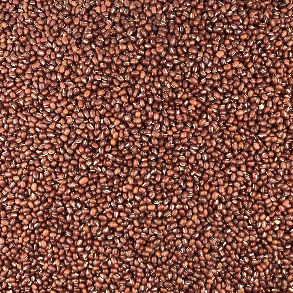 Haricot Azuki Bio en Vrac 25kg Vrac Bio