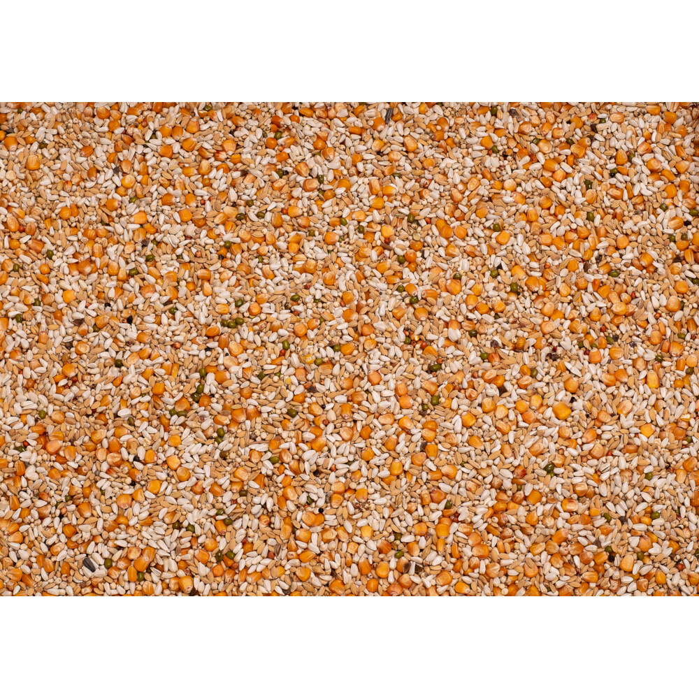 Beyers Premium Vandenabeele 20 kg