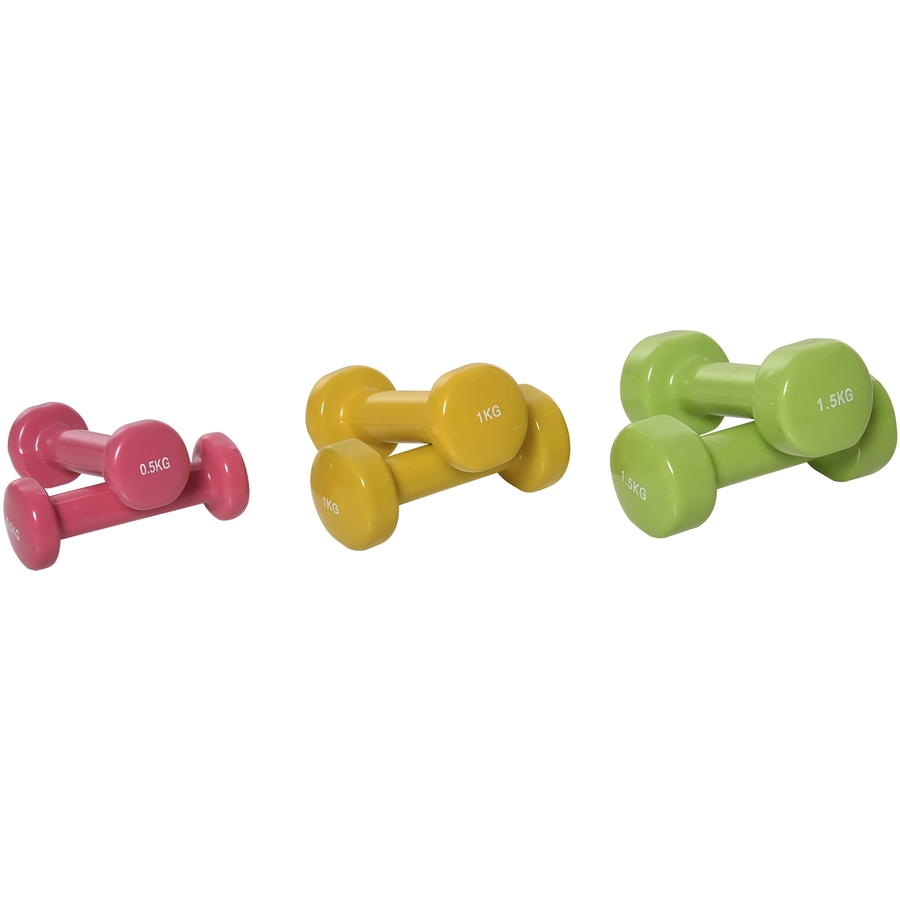 HOMCOM Hantel Set 6 kg bunt