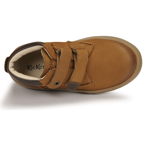 Kickers - TACKEASY - Camel