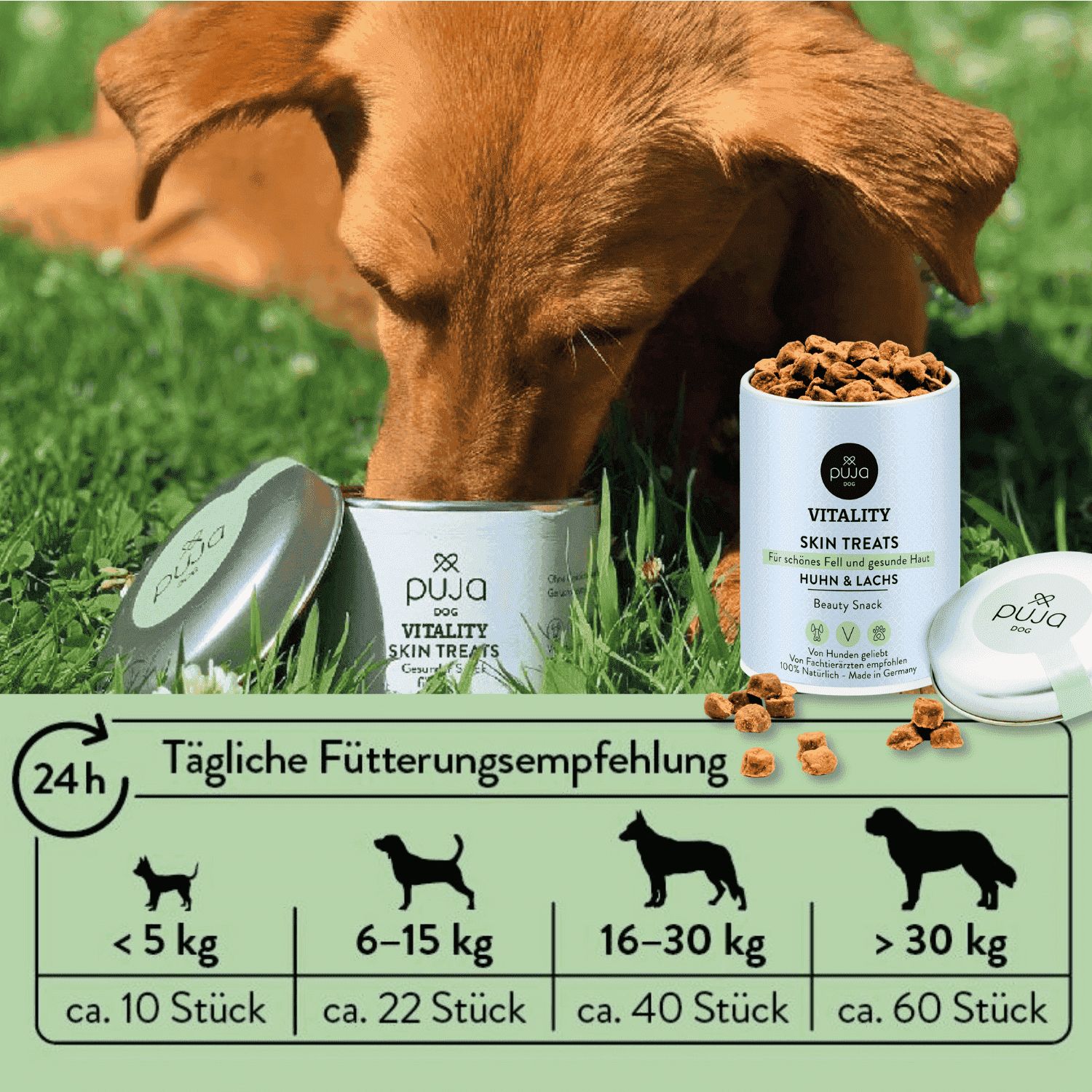 PUJA Beauty–Set für Hunde