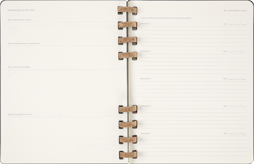 Life Planner 2025 XL 12-Month, Spiral