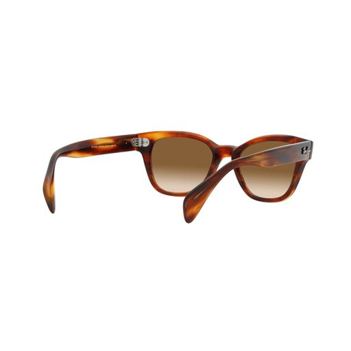 Ray Ban RB0880S Solbriller, Havana