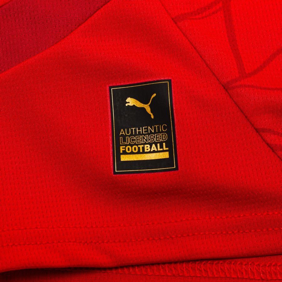 Autriche Maillot Domicile 2024/25 Enfant