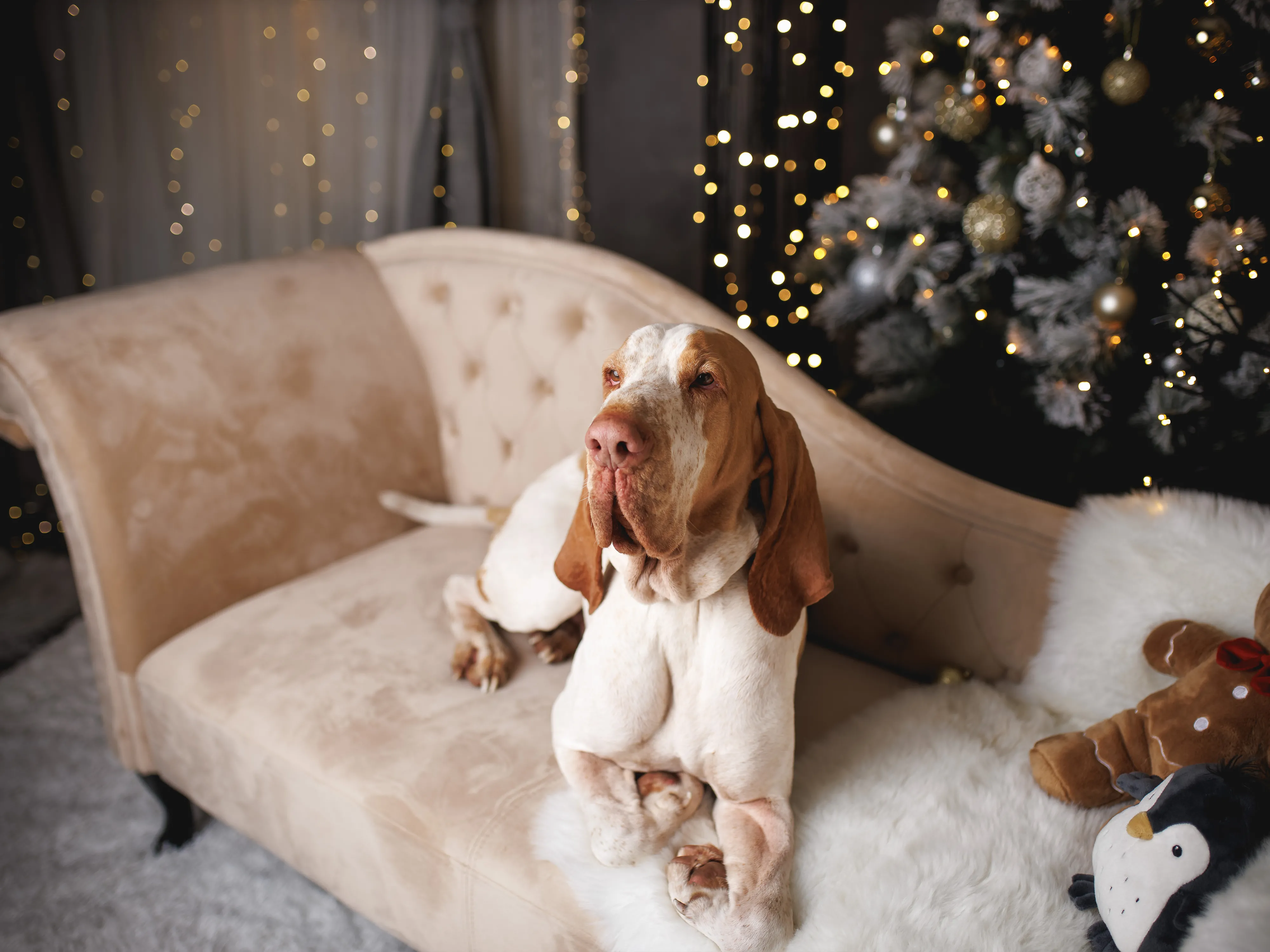 Linkszijdige chaise longue LATTES Fluweel Beige