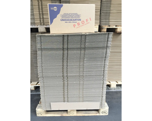 Cargo Point Pallet Verhuisdoos Professional 