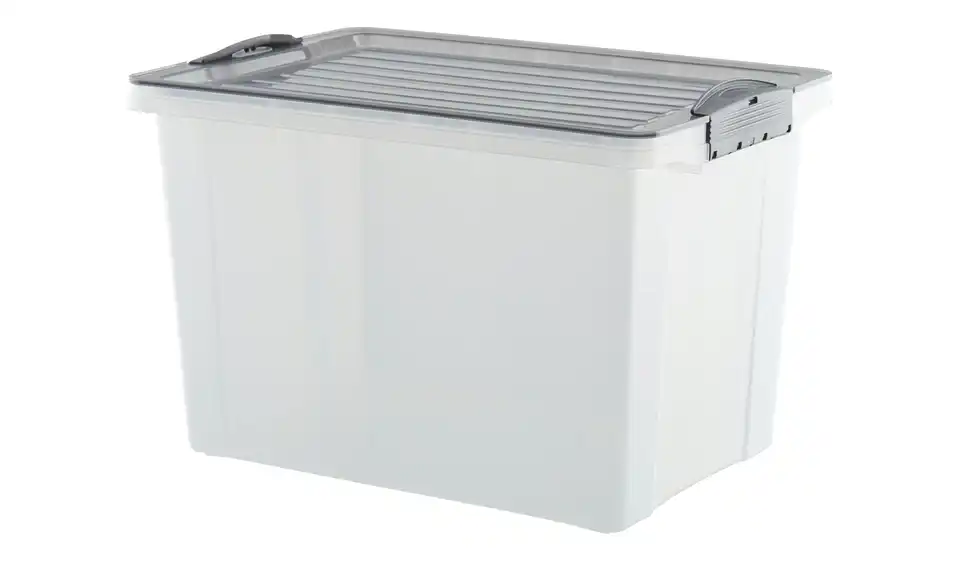 Rotho Aufbewahrungsbox mit Deckel