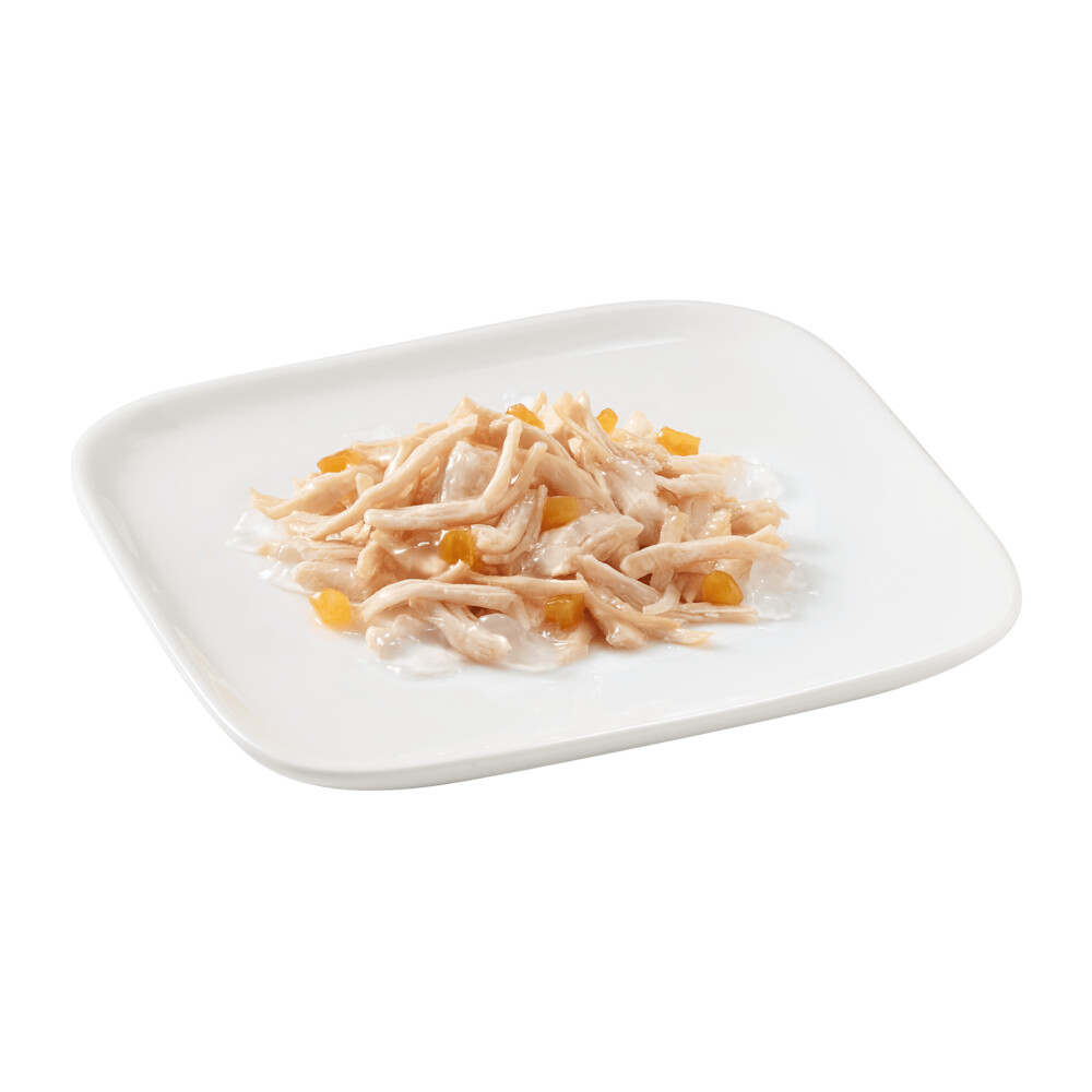 10x Schesir Hondenvoer Kip - Papaya150 gr