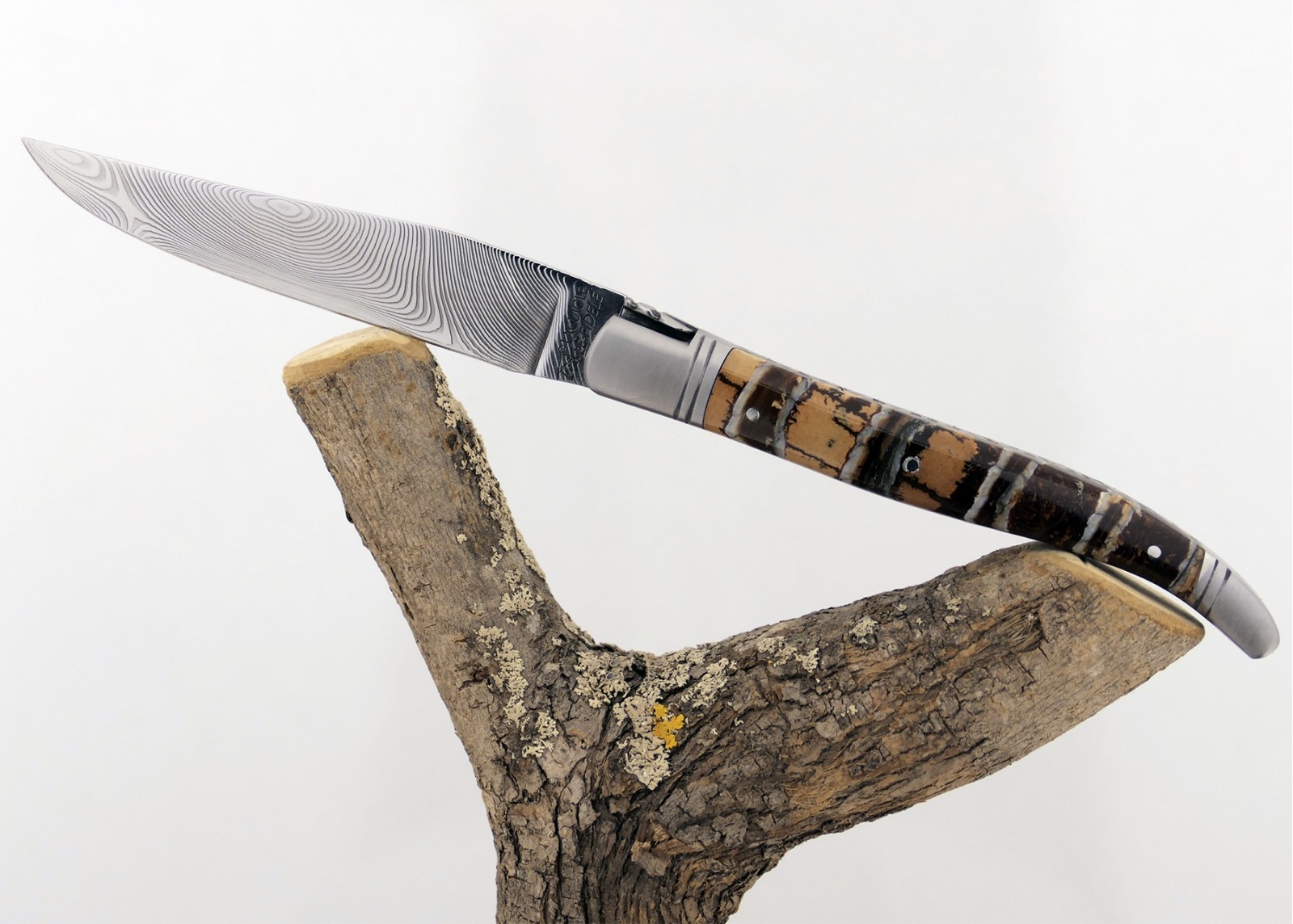 Couteau Laguiole avec un manche en Molaire de Mammouth Fossile