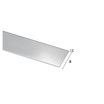 Plat profiel RVS 15x0.5x1000mm