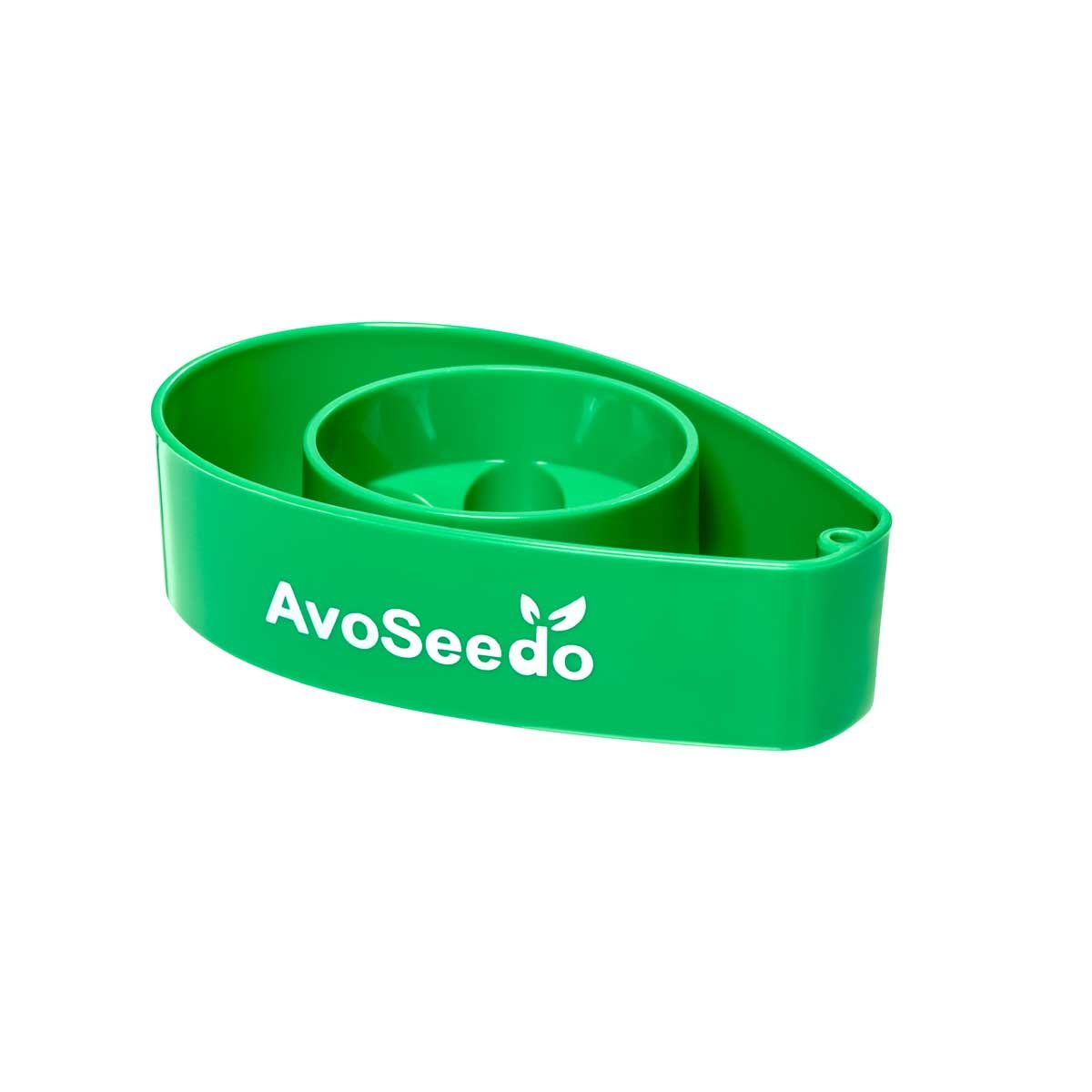 Grow your own avocado tree