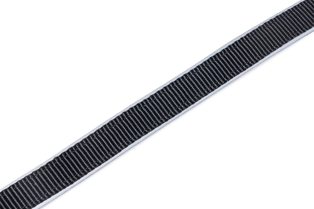 Beeztees Parinca - Reflecterende Hondenriem - zwart - 2 cm - 150 cm