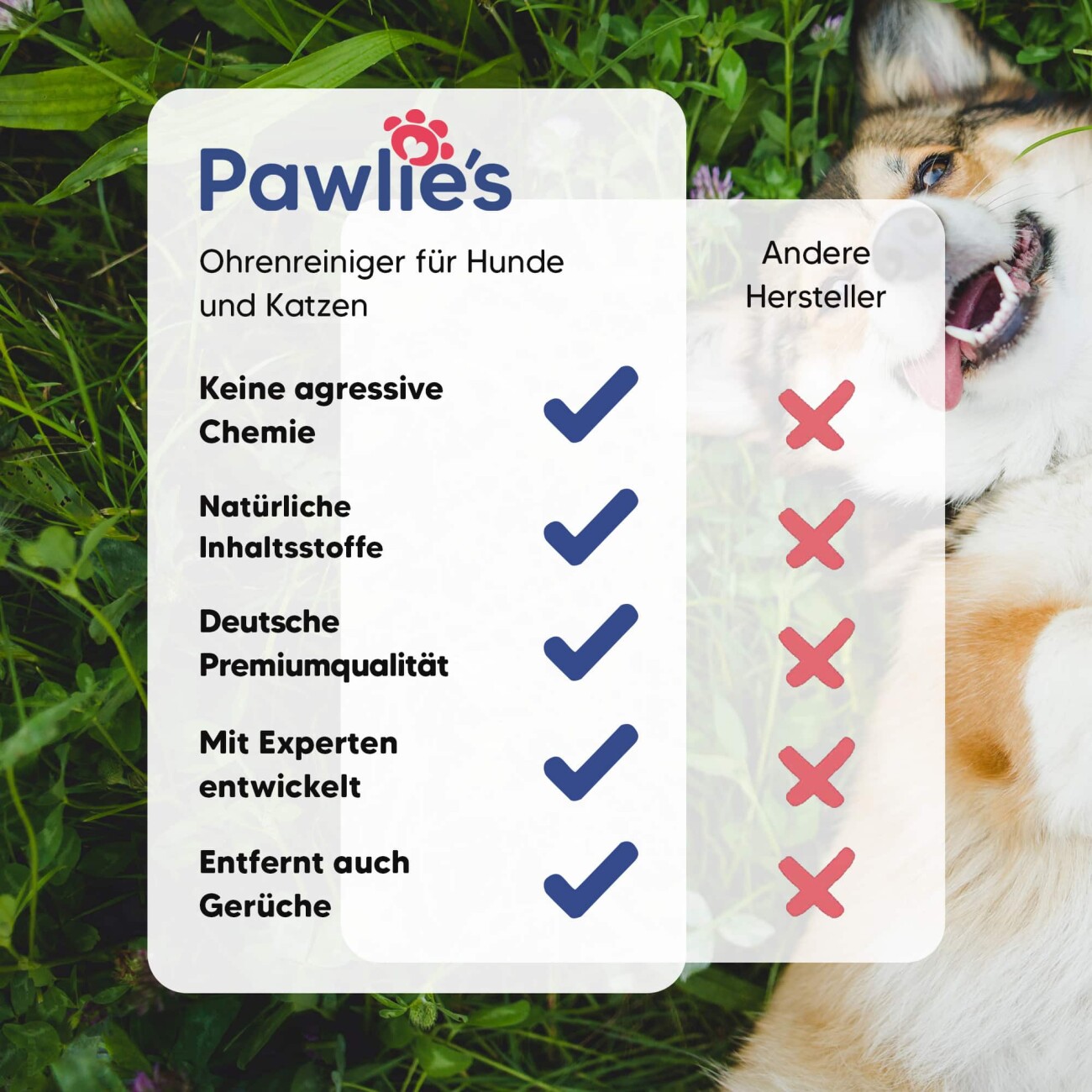 Pawlie's Ohrenreiniger Sensitiv