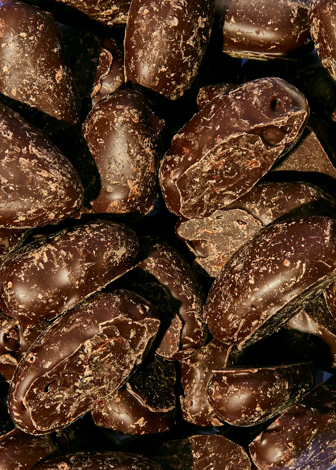 Datteln in Zartbitterschokolade 1 kg