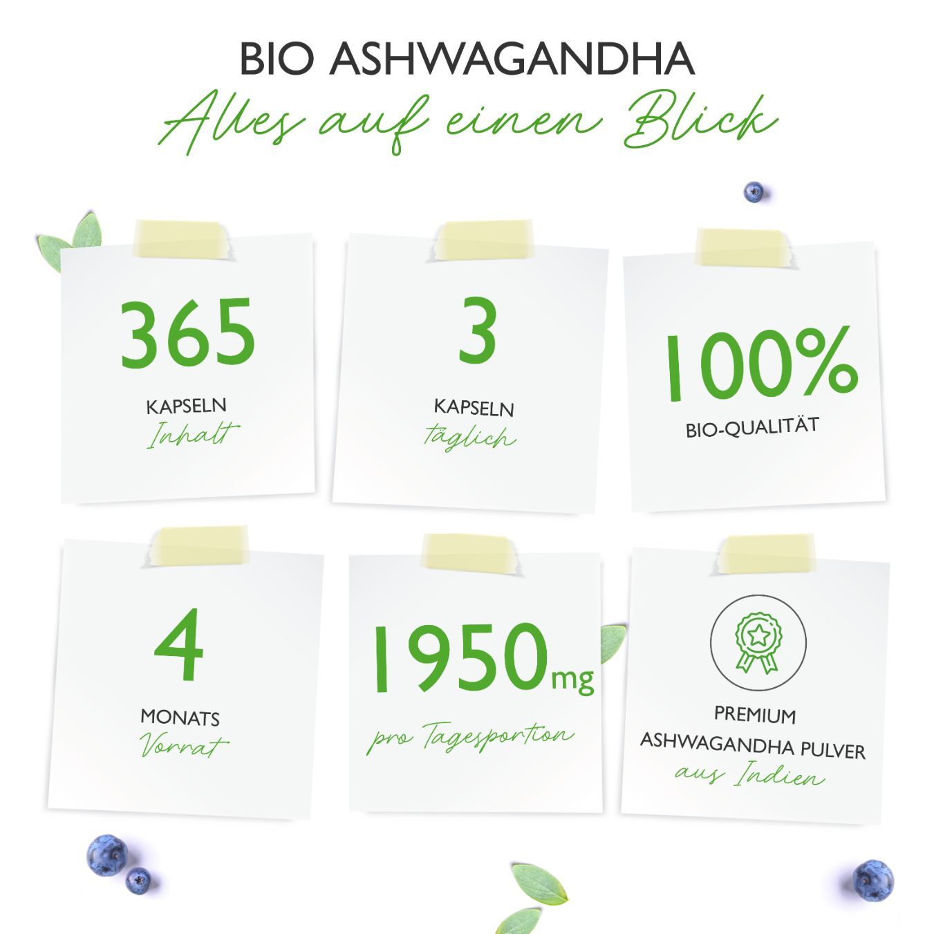vit4ever Bio Ashwagandha