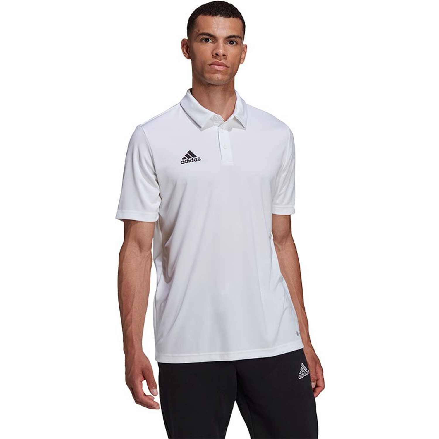 adidas Entrada 22 Polo