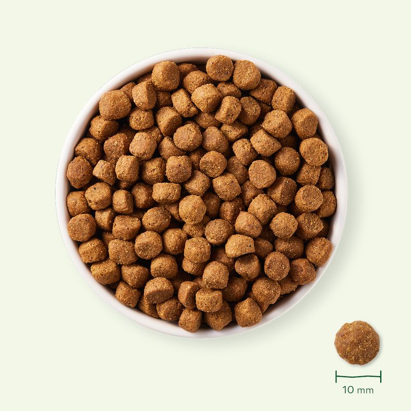 Yarrah Bio Adult poulet bio