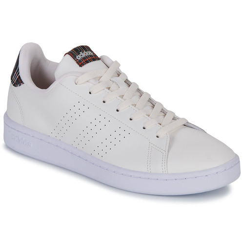Adidas Sportswear - ADVANTAGE - Beige / Tartan