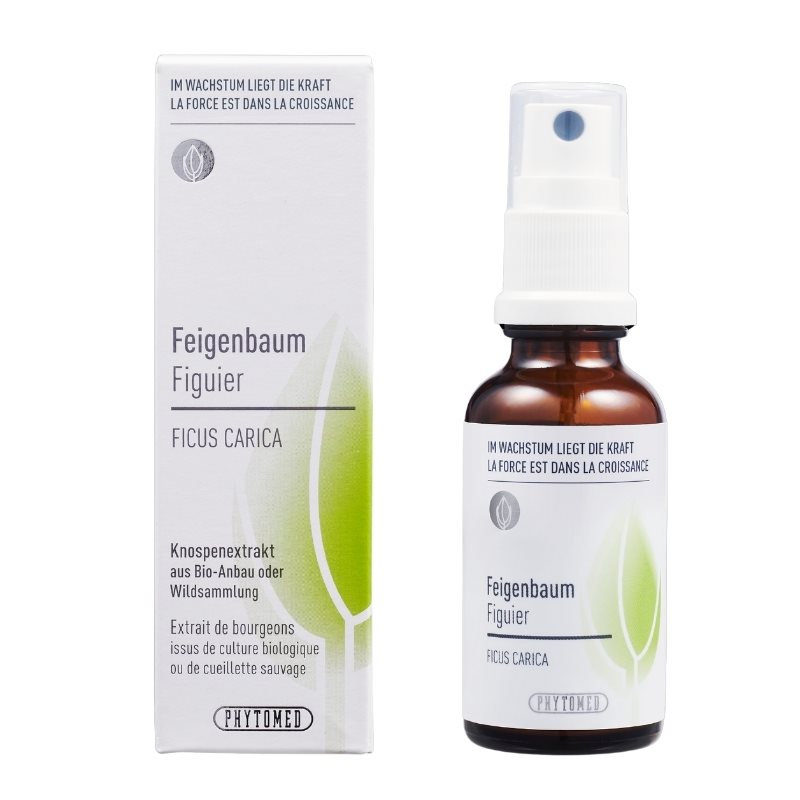 PHYTOMED Knospenextrakt<br>30 ml, Spray, flüssig, Feigenbaum
