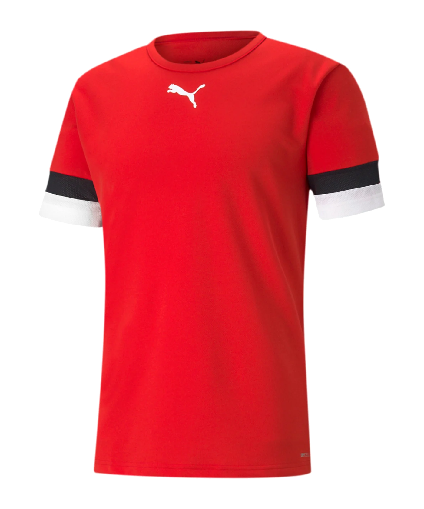 PUMA teamRISE Trikot Rot F01